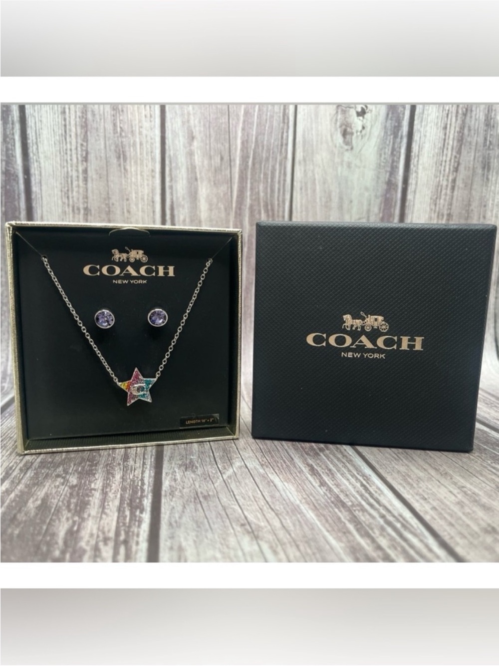 COACH Multicolor Star Pendant Necklace with Purple Stud Earrings